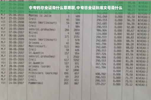 中专的毕业证是什么意思啊,中专毕业证批准文号是什么