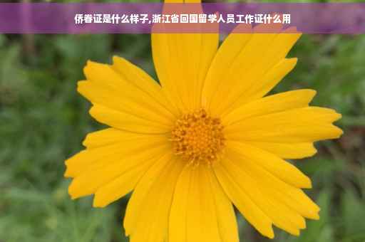 侨眷证是什么样子,浙江省回国留学人员工作证什么用