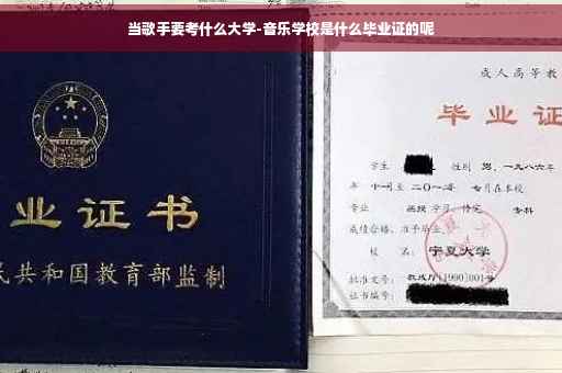 当歌手要考什么大学-音乐学校是什么毕业证的呢