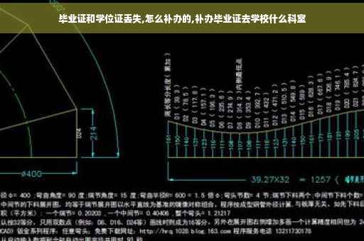 毕业证和学位证丢失,怎么补办的,补办毕业证去学校什么科室