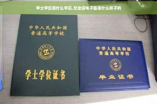 学士学位是什么学历,毕业证电子版是什么样子的