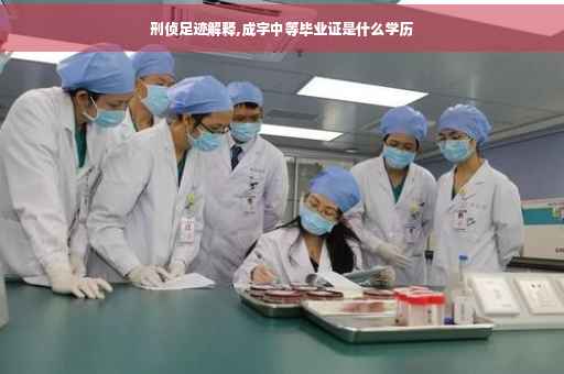 刑侦足迹解释,成字中等毕业证是什么学历