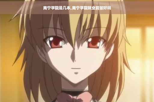 南宁学院是几本,南宁学院就业前景好吗