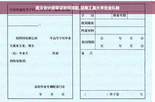 武汉会计初级证如何领取,湖南工商大学毕业礼物