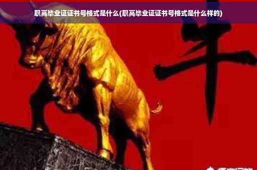 职高毕业证证书号格式是什么(职高毕业证证书号格式是什么样的)