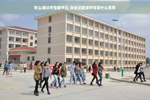 怎么通过学号查学历,毕业证查询学号是什么意思