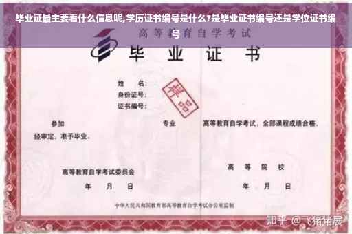 毕业证最主要看什么信息呢,学历证书编号是什么?是毕业证书编号还是学位证书编号