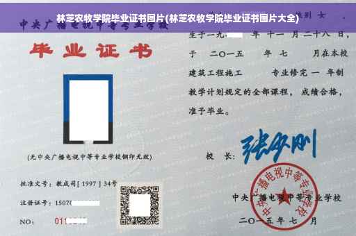 林芝农牧学院毕业证书图片(林芝农牧学院毕业证书图片大全)