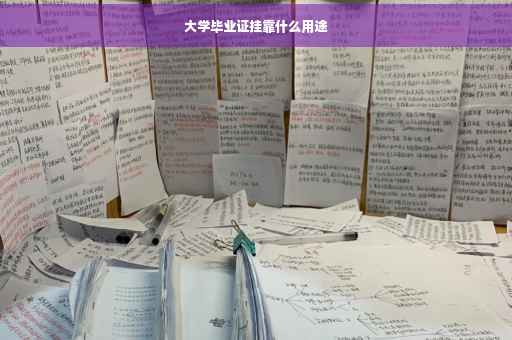 大学毕业证挂靠什么用途