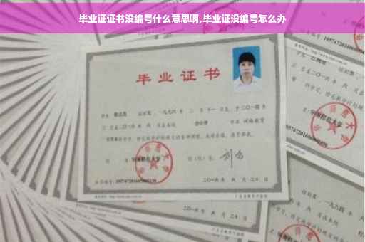 毕业证证书没编号什么意思啊,毕业证没编号怎么办