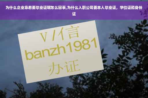 为什么企业急着要毕业证呢怎么回事,为什么入职公司要本人毕业证，学位证和身份证