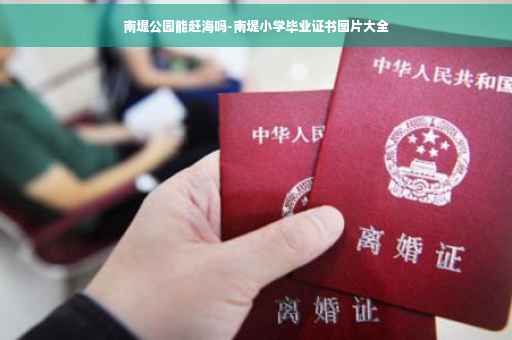 南堤公园能赶海吗-南堤小学毕业证书图片大全