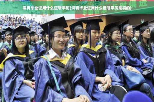 没有毕业证用什么证明学历(没有毕业证用什么证明学历是真的)