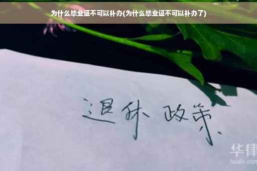 为什么毕业证不可以补办(为什么毕业证不可以补办了)