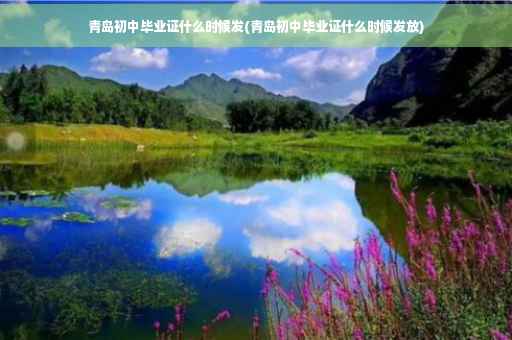 青岛初中毕业证什么时候发(青岛初中毕业证什么时候发放)