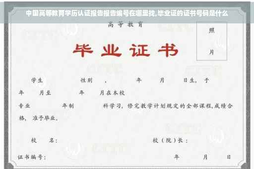 中国高等教育学历认证报告报告编号在哪里找,毕业证的证书号码是什么