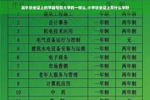 高中毕业证上的学籍号和大学的一样么,小学毕业证上写什么字好
