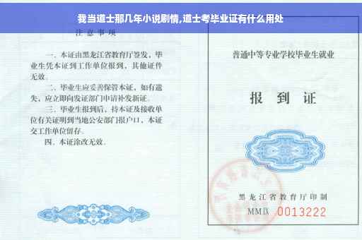 我当道士那几年小说剧情,道士考毕业证有什么用处