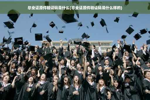 毕业证原件验证码是什么(毕业证原件验证码是什么样的)