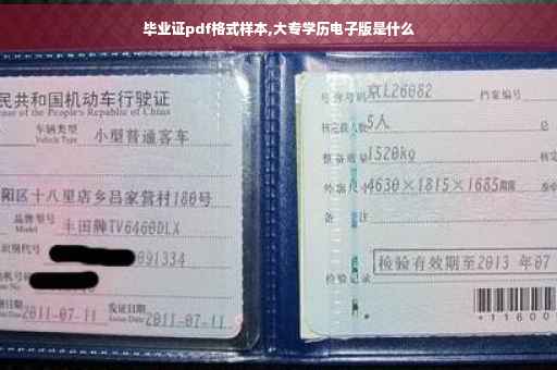 毕业证pdf格式样本,大专学历电子版是什么