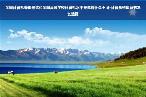 全国计算机等级考试和全国高等学校计算机水平考试有什么不同-计算机初级证书怎么选择
