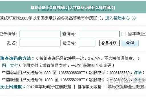 毕业证是什么样的图片(大学毕业证是什么样的图片)