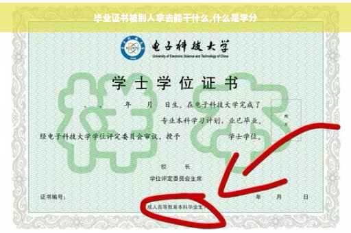 毕业证书被别人拿去能干什么,什么是学分