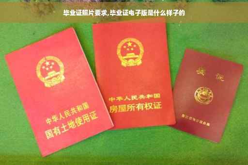 毕业证照片要求,毕业证电子版是什么样子的
