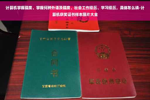 计算机掌握程度、掌握何种外语及程度、社会工作经历、学习经历，具体怎么填-计算机获奖证书样本图片大全
