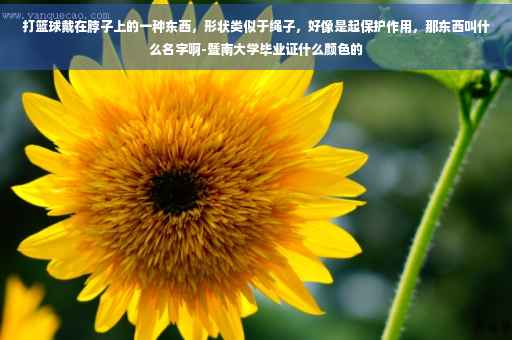 打篮球戴在脖子上的一种东西，形状类似于绳子，好像是起保护作用，那东西叫什么名字啊-暨南大学毕业证什么颜色的