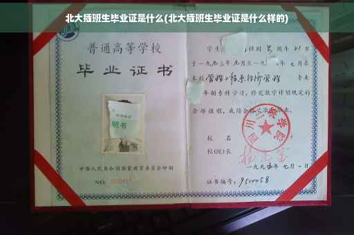 北大插班生毕业证是什么(北大插班生毕业证是什么样的)