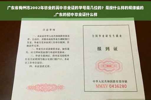 广东省梅州市2002年毕业的高中毕业证的学号是几位的？是按什么样的规律编的,广东的初中毕业证什么样