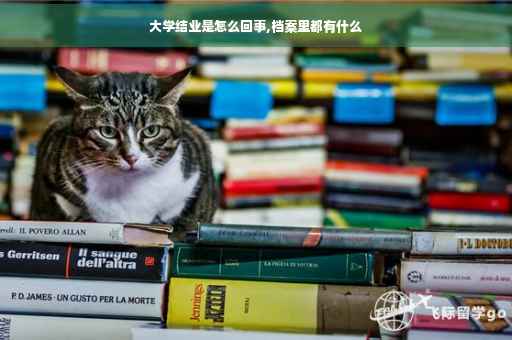 大学结业是怎么回事,档案里都有什么