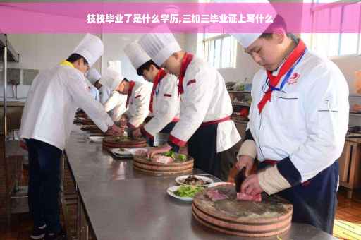 技校毕业了是什么学历,三加三毕业证上写什么