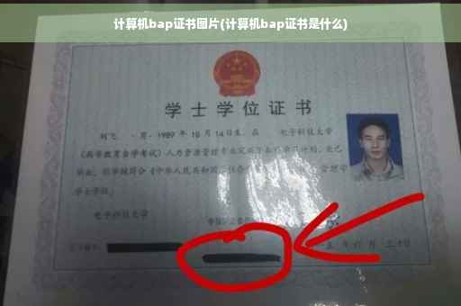 计算机bap证书图片(计算机bap证书是什么)