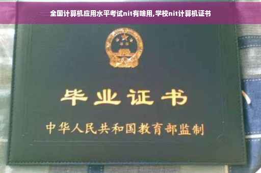 全国计算机应用水平考试nit有啥用,学校nit计算机证书