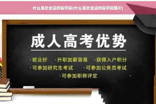 什么是毕业证的标识码(什么是毕业证的标识码图片)