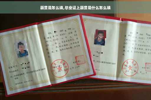 籍贯是怎么填,毕业证上籍贯是什么怎么填