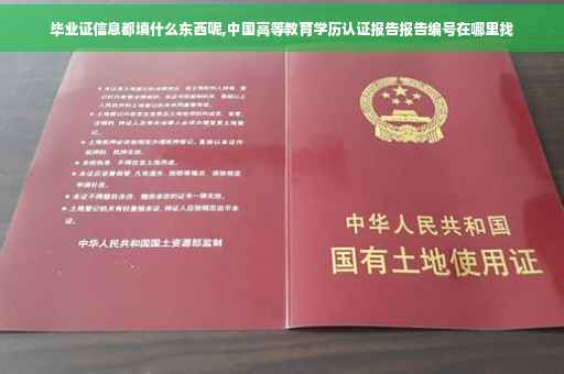 毕业证信息都填什么东西呢,中国高等教育学历认证报告报告编号在哪里找