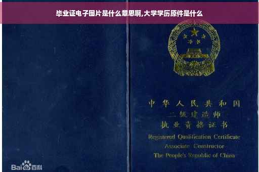 毕业证电子图片是什么意思啊,大学学历原件是什么