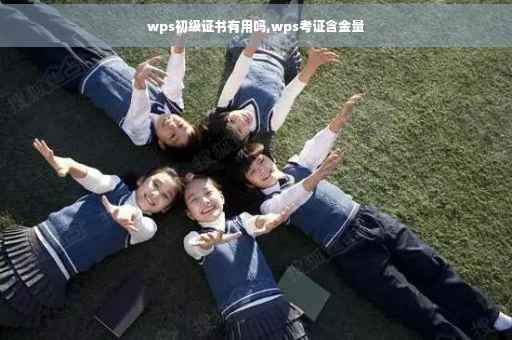wps初级证书有用吗,wps考证含金量