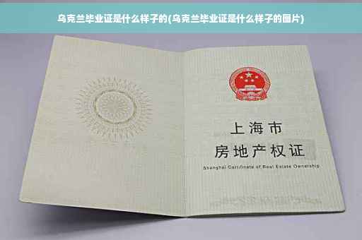 乌克兰毕业证是什么样子的(乌克兰毕业证是什么样子的图片)