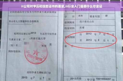 it公司对学历和技能证书的要求,it行业入门需要什么毕业证