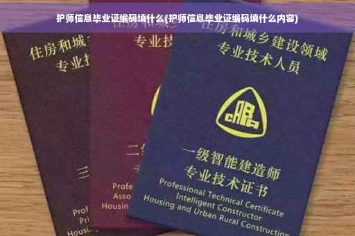 护师信息毕业证编码填什么(护师信息毕业证编码填什么内容)
