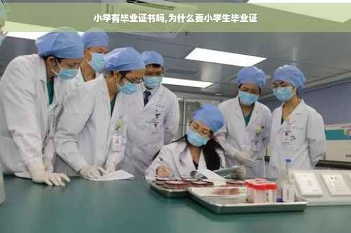 小学有毕业证书吗,为什么要小学生毕业证
