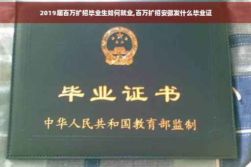 2019届百万扩招毕业生如何就业,百万扩招安徽发什么毕业证