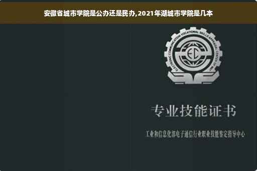 安徽省城市学院是公办还是民办,2021年湖城市学院是几本