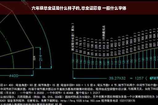 六年级毕业证是什么样子的,毕业证印章 一般什么字体