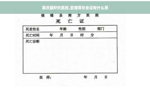 重庆最好的武校,武僧团毕业证有什么用