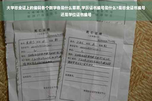 大学毕业证上的编码各个数字各是什么意思,学历证书编号是什么?是毕业证书编号还是学位证书编号